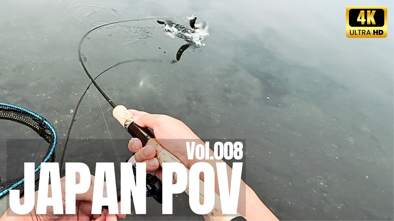 Area Trout Fishing in Japan | 4K ASMR No Talking POV Vol.008