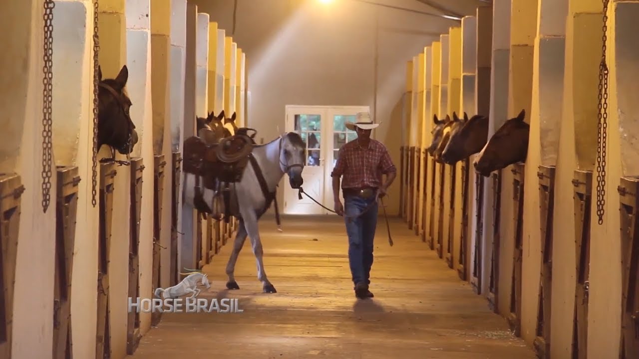 Já pensou em ter um Haras?