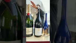 FROM THE LITTLE PICCOLO TO THE NEBUCHADNEZZAR BOTTLE (15 LITERS WINE BOTTEL) 🤯