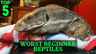 Top 5 Worst Beginner Pet Reptiles Sold At Pet Stores