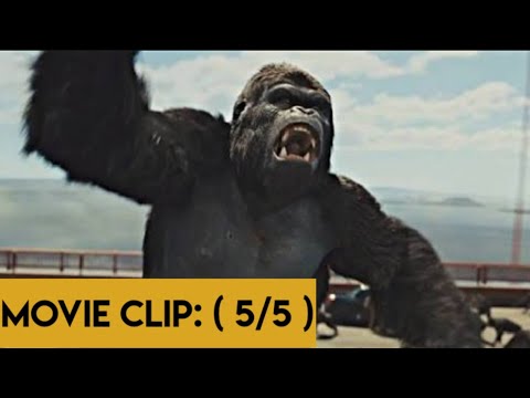 Rise of the planet of apes...Gorilla death helicopter attack  scene...( movie clip 5/5)