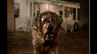 Can’t Scratch the Itch In My Skull