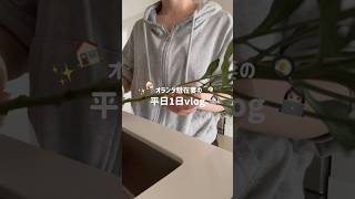 駐在妻の平日1日vlog #オランダ駐在妻 #海外生活 #日常vlog #主婦vlog