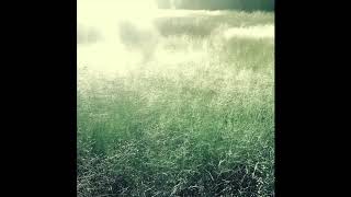 Sleepin&#39; (cover) - And Yet