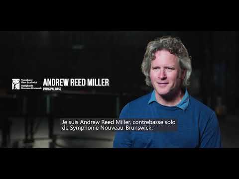 Andrew Reed Miller - Symphony New Brunswick is Versatile and Collaborative
