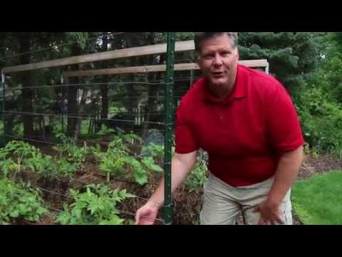 Straw Bale Gardening - Trellis Wires | Joel Karsten