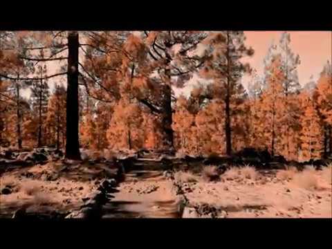 Feels Like You - MOTI x Robert Falcon (Lyrical)