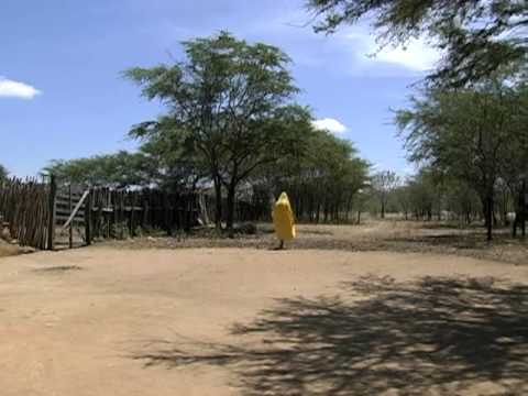 Capa de Chuva - Revelando os Brasis Ano III