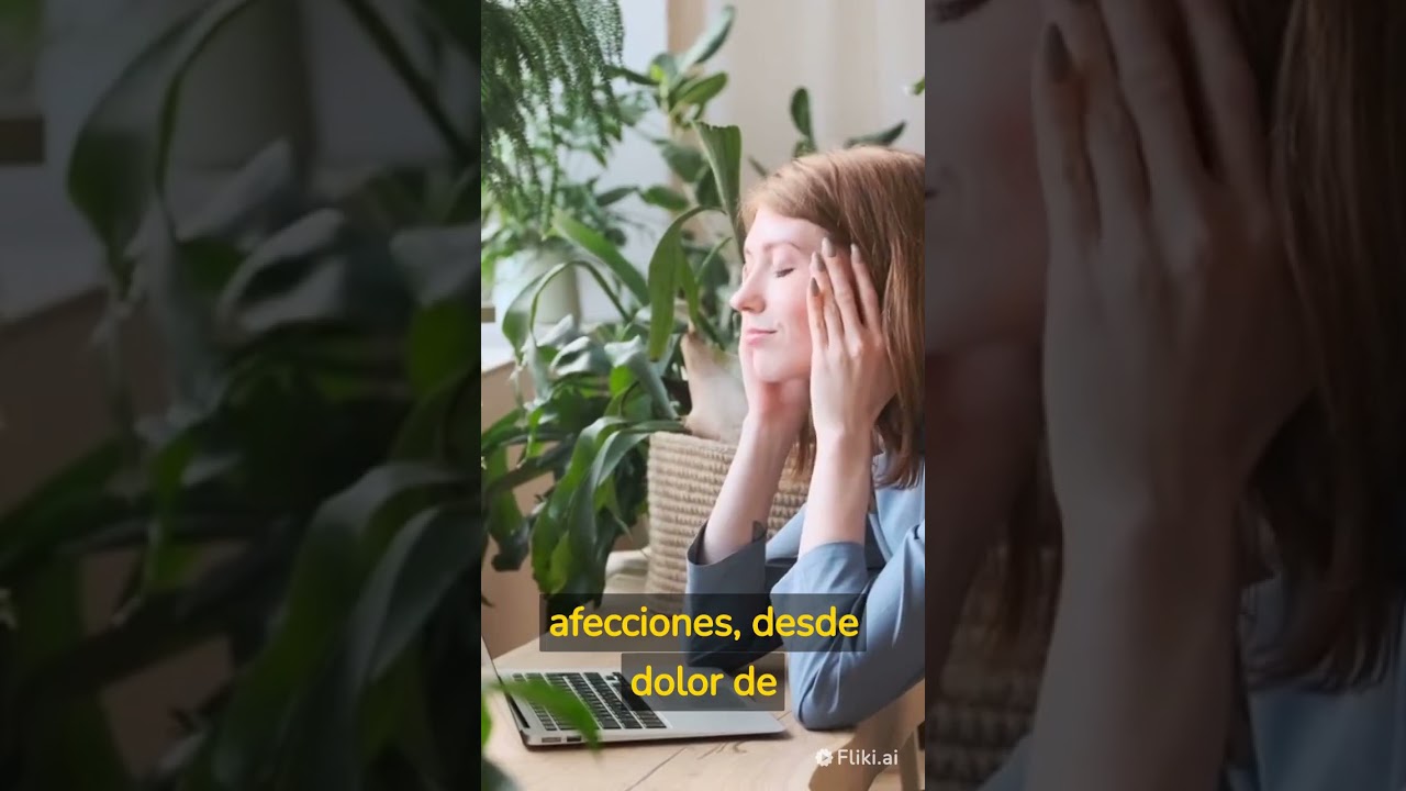 Guillermo Mendieta-25