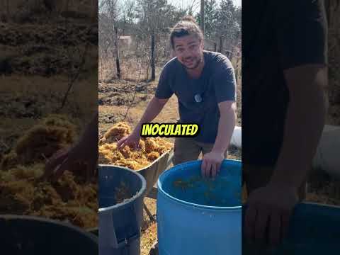 Super Mulch! Essential for Gardens & Compost