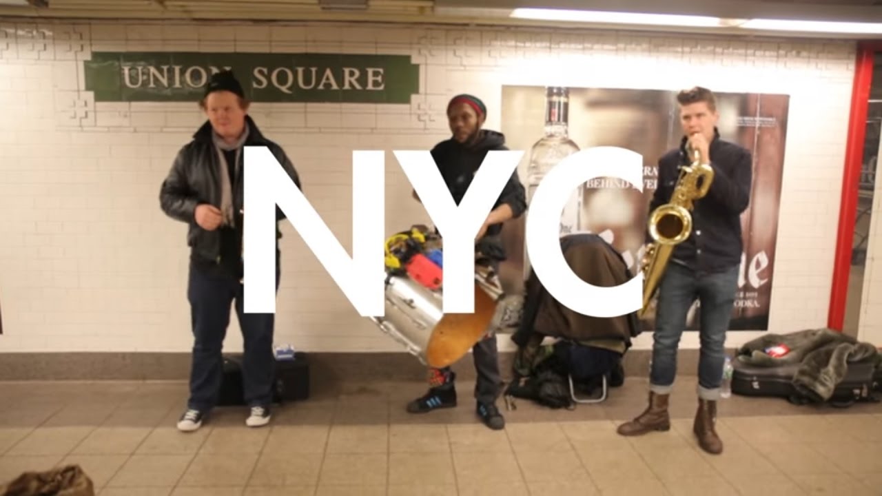 too many zooz in nyc