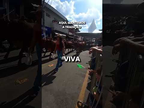 Desfile de Carreiros de Santa Rita de Caldas-MG 2026