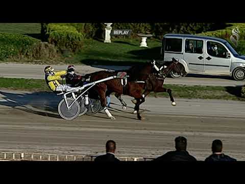 Aversa trotto 27 Ottobre 2021 - 5° Corsa