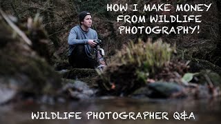WILDLIFE PHOTOGRAPHER Q&A - WHY I STARTED & MAKING MONEY FROM WILDLIFE PHOTOGRAPHY.