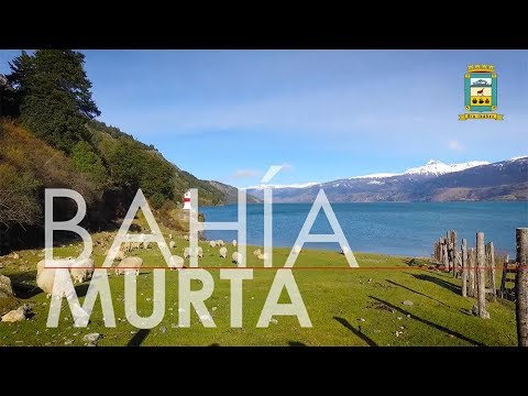 BAHIA MURTA