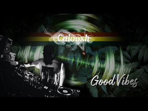 Caloosh - Good Vibes ( Jungle Dubwise Raggajungle dnb DJ mix 2020 )