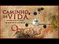 Linha De Vida Para Caminho Download Youtube Mp3 and Mp4