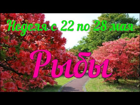 РЫБЫ ♓️Неделя с 22 по 28 мая.