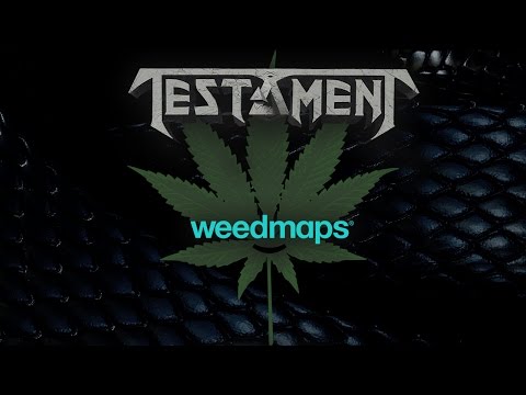 Videoclip de Canna-Business — Testament