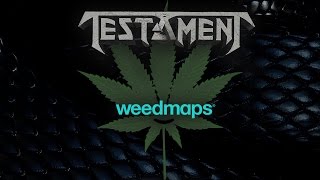 TESTAMENT - The song &quot;Canna Business&quot; and the marijuana industry (OFFICIAL TRAILER)