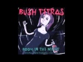 Bush Tetras - Moonlite