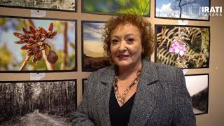 A exposição "Cores da Natureza", da fotógrafa Ingrid A. Ditzel Felchak, está aberta para visitação, na Casa da Cultura de Irati