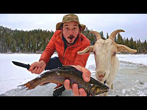 Ice Fishing for Trout with my Goat! (Catch & Cook)