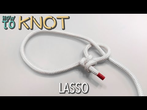 image-What is the meaning of Lasso in English? 