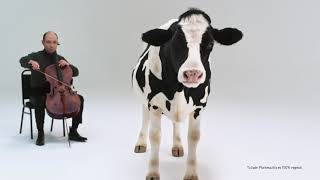 Skip the cow' de Pablo London Trailer