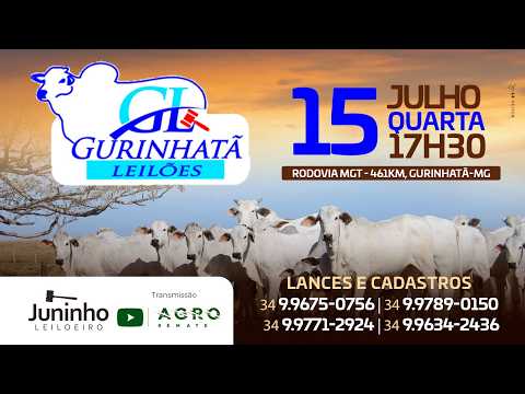 LEILÃO DE CORTE - GURINHATÃ LEILÕES 15/07/2026 - AGROREMATE