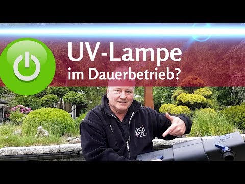 Muss die UV-Lampe immer laufen? Schwebealgen im Teich kontrolliert bekämpfen