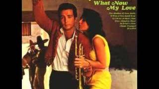 Herb Alpert -  ♫ The Shadow Of Your Smile ♫