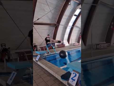 Le plongeon en natation ! Comment bien plonger ?