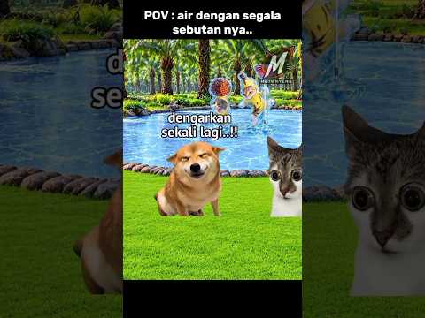 sebutannya jadi air apa dong..? #memes #komedi #trending #lucu #memekucing