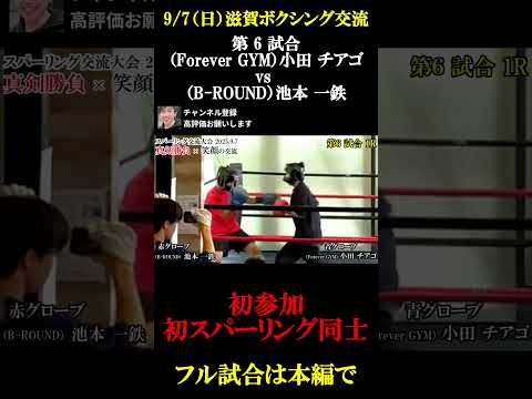 滋賀 ボクシングスパーリング｜池本一鉄 初参戦🔥 #shorts #滋賀国スポ #ボクシング