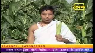 Ayurvedic use of Corn,Makka -Part 1-Poojya Acharya Balkrishn Ji