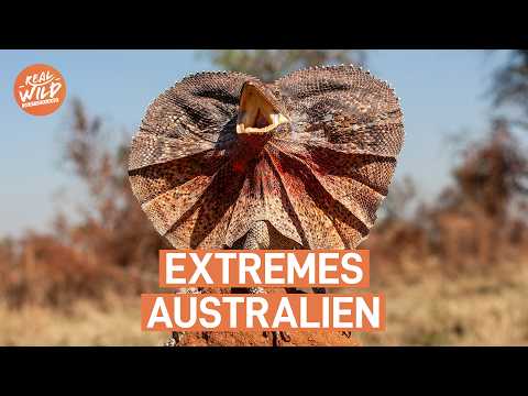 XXL Australien: Das EXTREMSTE Land der Welt? | Doku