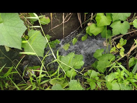 SE02EP053 Part 1 - MAKIPOT na ILOG at ang RUMARAGASANG ILOG ng SAN MIGUEL | San Pablo City, Laguna