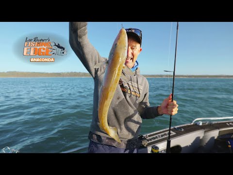 How To Catch Monster King George Whiting