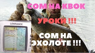 Тактика ловли сома на квок