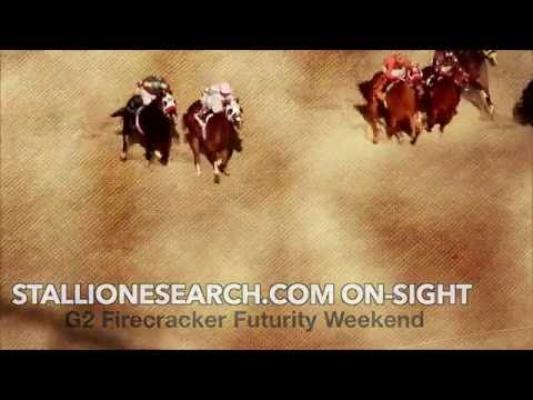 2016 Delta Downs QH Report: Episode 6