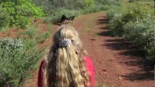 MADE HERE - OLD WAR HORSE MOCCASINS