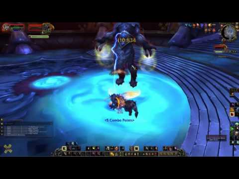 The Bastion of Twilight - Druid Feral Solo Heroic 25