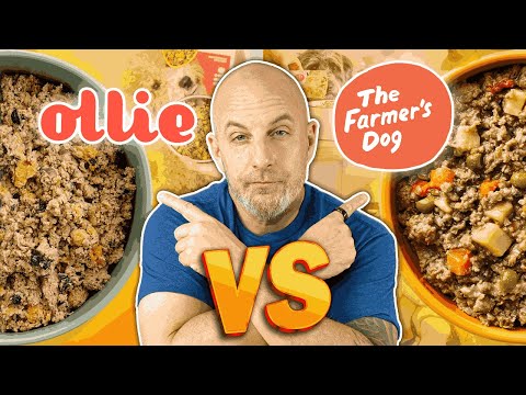 Ollie vs The Farmer’s Dog | Best Dog Food Subscription in 2026?