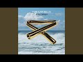 Mike Oldfield's Single