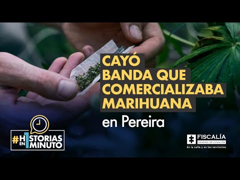 Cayó banda que comercializaba marihuana en Pereira