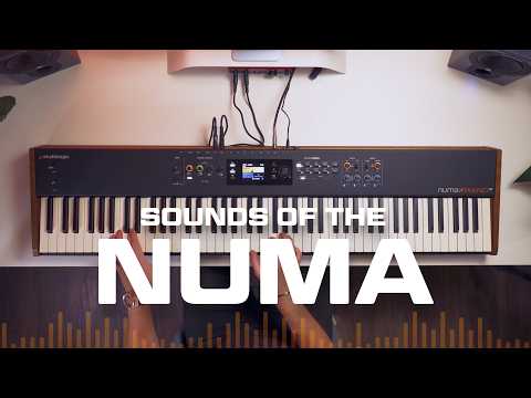 Studiologic Numa X Piano GT: Dive into Its Deep, Warm, and Stunning Sound