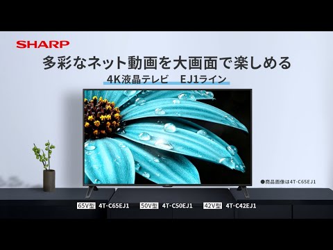 液晶テレビ AQUOS(アクオス) 4T-C42EJ1 [42V型 /4K対応 /BS・CS 4K