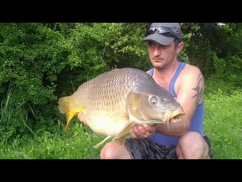 Ribnjak Eminovci 18.5.2019.