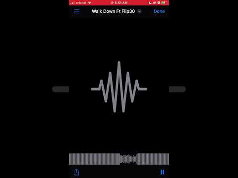 Walk Down Ft Flip30